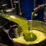 Olive oil has reached shock prices - At 9.25 euros a liter is sold wholesale