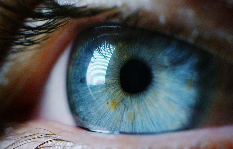 Artificial intelligence system diagnoses autism with 100% accuracy from retinal photos