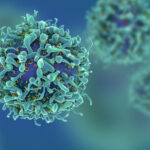 Artificial intelligence predicts the body's response to cancer treatment