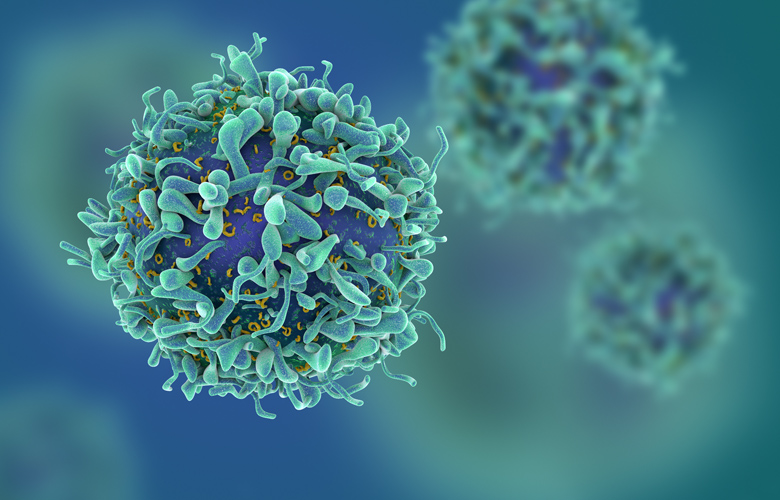 Artificial intelligence predicts the body's response to cancer treatment