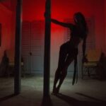 Tax evasion of 3 million euros in a well-known adult entertainment center was detected by the Tax Office
