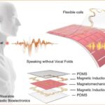 New system discovered for speech production in patients with voice disorders
