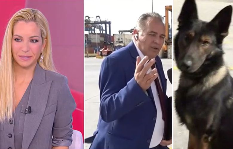A customs officer thought that Maria Anastasopoulou was flirting with him on air and she was talking about the... dog