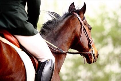 Horse Riding Trainer was denounced for sexual harassment by his students
