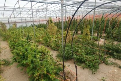 Costas Tsiaras signed the greenhouse boost program