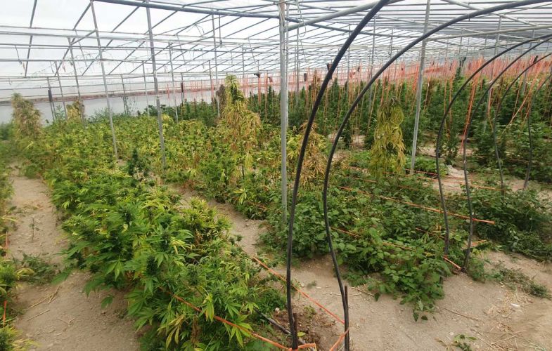 Costas Tsiaras signed the greenhouse boost program