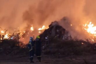 Fire in a forest area in Kalavryta