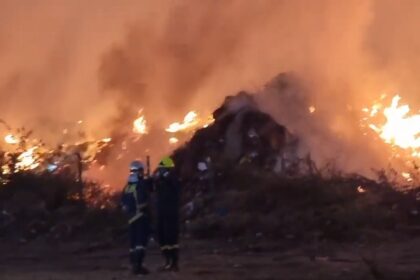 Fire in a forest area in Kalavryta