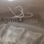 Shock in Agrinio: Hooks "sat down" on the 38 -year -old's esophagus who ate octopus