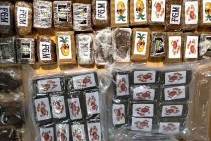 ELAS dismissed a criminal organization that traveled drugs hidden in juices and food packaging