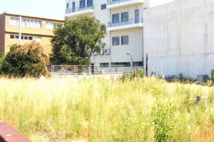 Expires the deadline for land cleaning - who is at risk of a fine of 1,000 euros