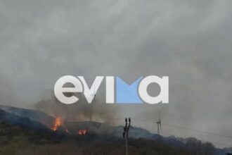 Fire in Karystos