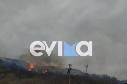 Fire in Karystos