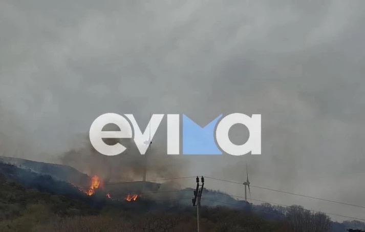 Fire in Karystos