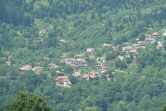 How will the situation be shaped with demographic in Greece in 2050