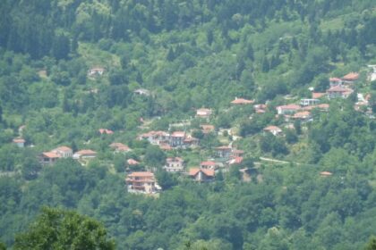 How will the situation be shaped with demographic in Greece in 2050
