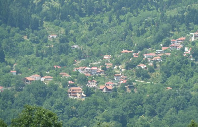 How will the situation be shaped with demographic in Greece in 2050