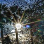 Up to 26 degrees Celsius will "climb" mercury today