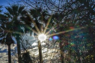 Up to 26 degrees Celsius will "climb" mercury today