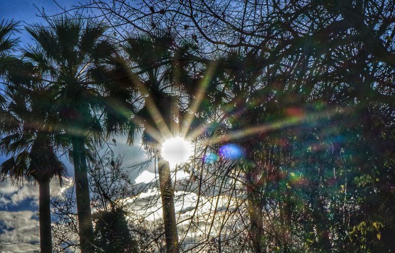 Up to 26 degrees Celsius will "climb" mercury today